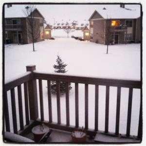 We got snow yesterday! Yay!!