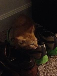 Maybe he'll be a runner like mama...