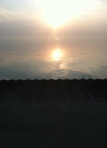 12917E1B-5670-4CD6-B1A8-D970E9F4585F