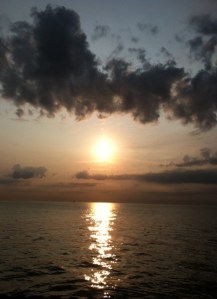 4F31B6D7-786F-4669-A724-EAF2F8B6330E