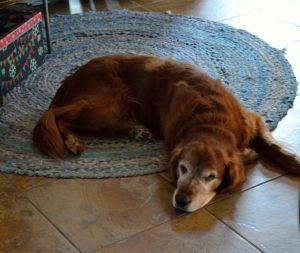 My buddy here in Sycamore 