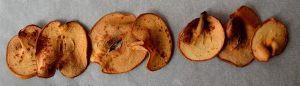 DIY Fruit Chips