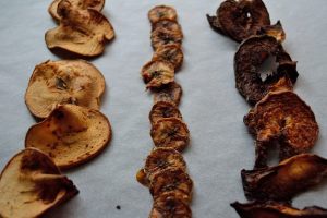 DIY Fruit Chips