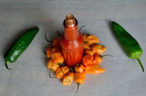 DIY Wednesday: Hot Sauce | Life Healthfully Lived 
