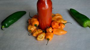 DIY Wednesday: Hot Sauce | Life Healthfully Lived 
