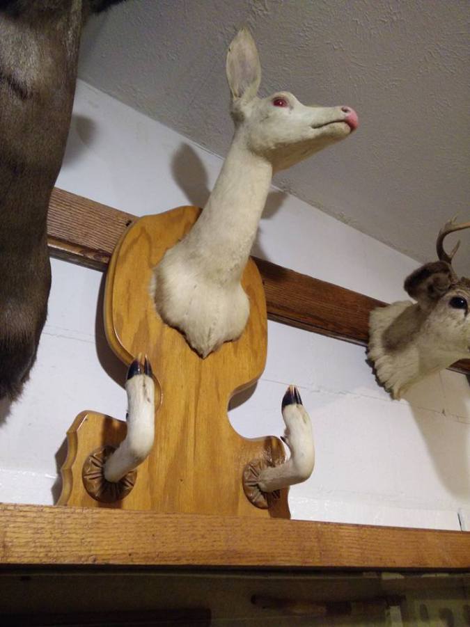 Back To Reality | Life Healthfully Lived