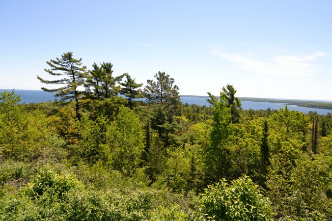 Back To Reality | Life Healthfully Lived