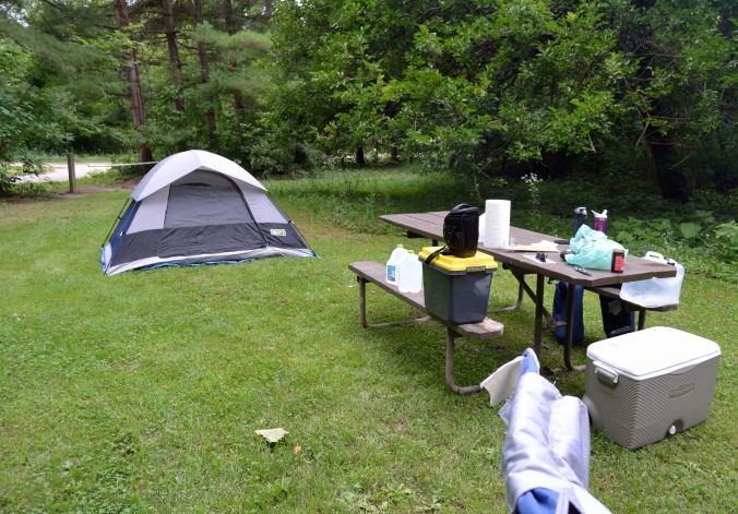 Mosquitoes & The Mississippi | Life Healthfully Lived