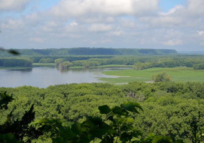 Mosquitoes & The Mississippi | Life Healthfully Lived