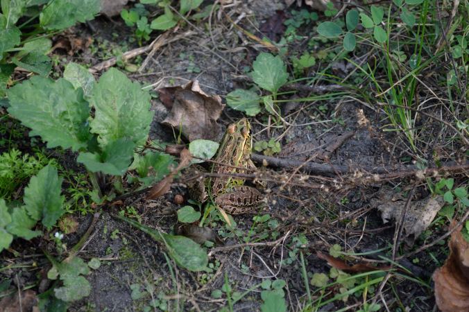 From Indiana to Missouri | Life Healthfully Lived