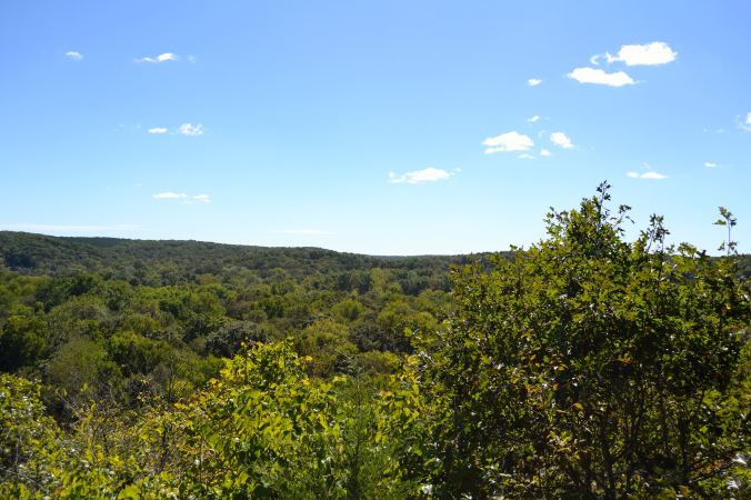 Rolla Roomie Reunion | Life Healthfully Lived