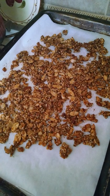 Dogs & Pumpkin Patches | Life Healthfully Lived