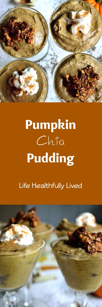 Pumpkin Chia Pudding | Life Healthfully Lived