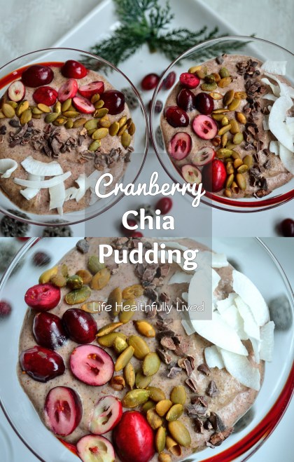 Cranberry Chia Pudding | Life Healthfully Lived