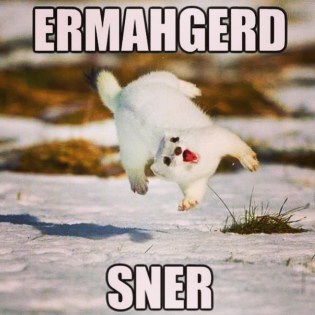 Monday Full Of Happy | Life Healthfully Lived