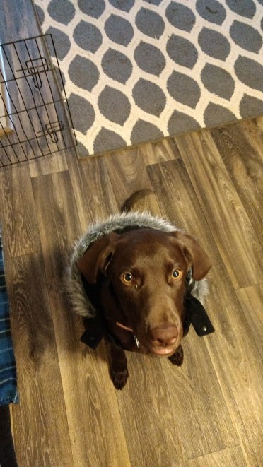 Practicing What I Preach | Life Healthfully Lived