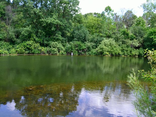 Camping at Rock Cut State Park | Life Healthfully Lived