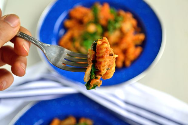 Camping Pasta | Life Healthfully Lived