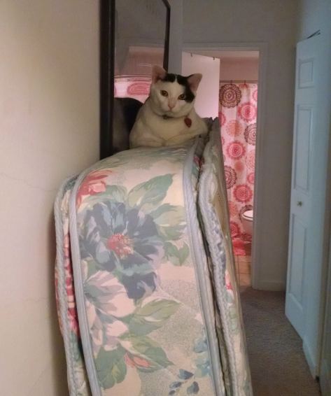 Life Update | Life Healthfully Lived