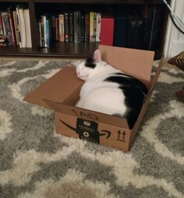 Life Update | Life Healthfully Lived