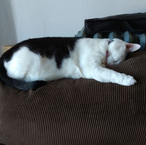 Life Update | Life Healthfully Lived