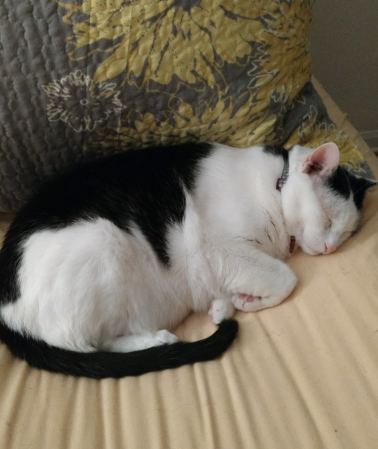 Life Update | Life Healthfully Lived