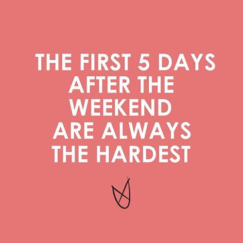 Look at My Cats... and My Weekend | Life Healthfully Lived