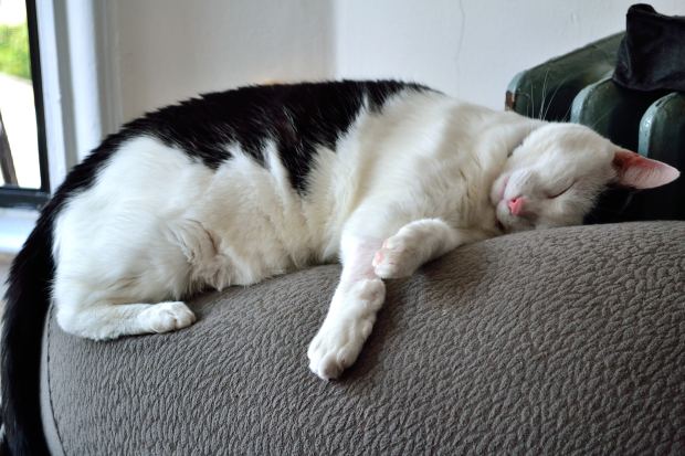 From Sunset to Sunset | Life Healthfully Lived