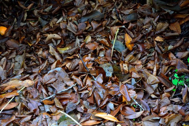 One More Mountain Before We Go | Life Healthfully Lived