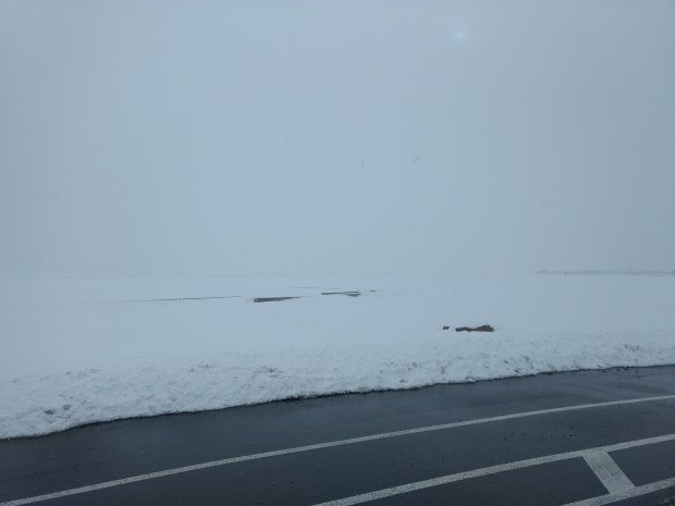 Monday Things: Snow & Winter Olympics | Life Healthfully Lived