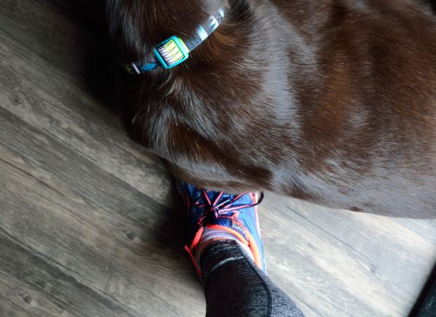 Browned Butter Chocolate Bites | Life Healthfully Lived