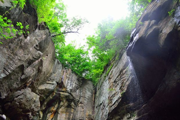 30,000 Steps at Starved Rock | Life Healthfully Lived