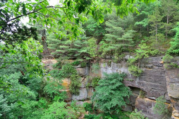 30,000 Steps at Starved Rock | Life Healthfully Lived