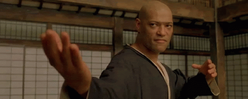 My Life in Gifs | Life Healthfully Lived