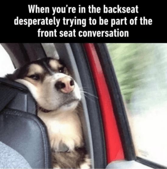 Road Trippin' | Life Healthfully Lived